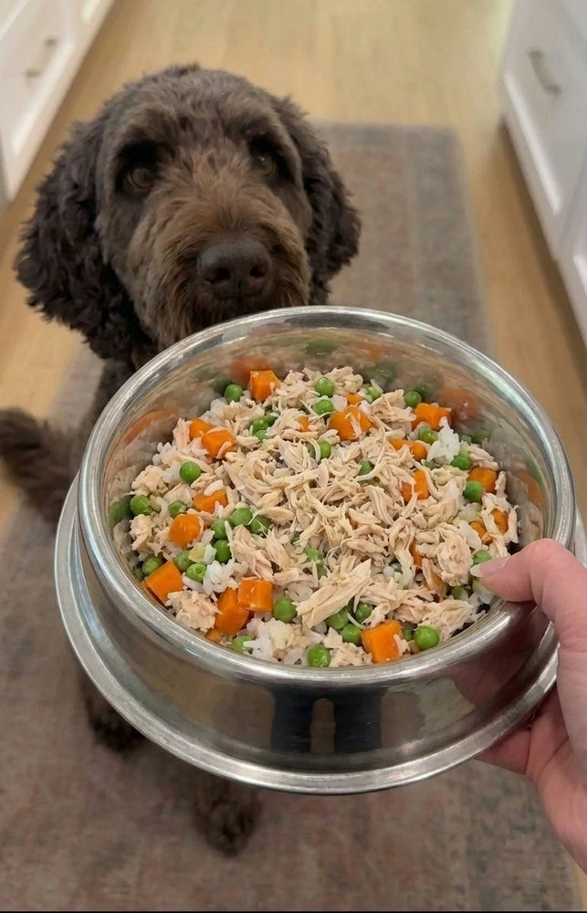 Homemade Dog Food
