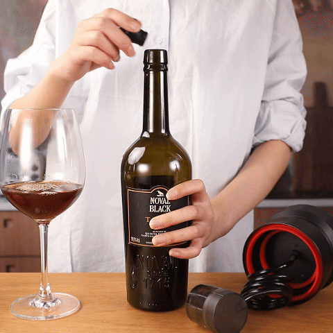 VP09 3-in-1 Handheld Vacuum Sealer Kit